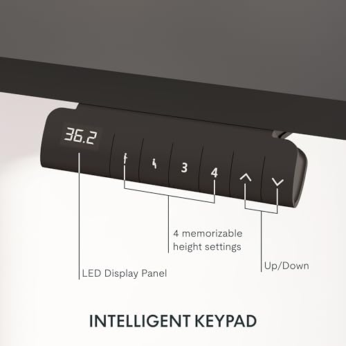 Three-Stage Dual-Motor Standing Desk