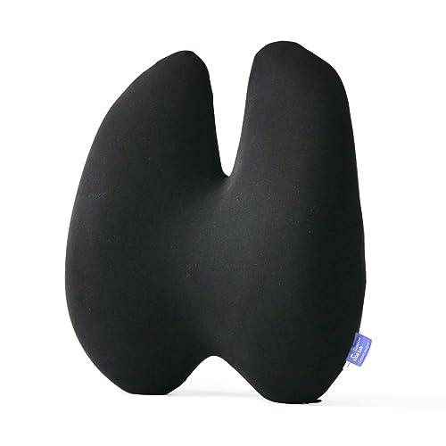Extra-Dense Lumbar Support Cushion
