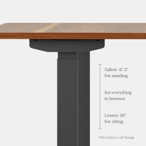 Compact Motorized Standing Desk
