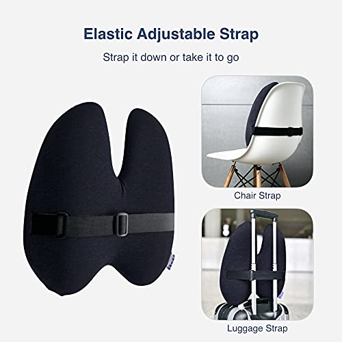 Extra-Dense Lumbar Support Cushion
