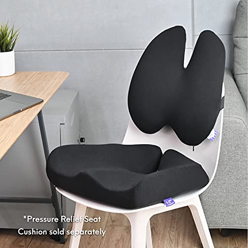 Extra-Dense Lumbar Support Cushion