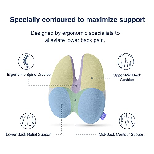 Extra-Dense Lumbar Support Cushion