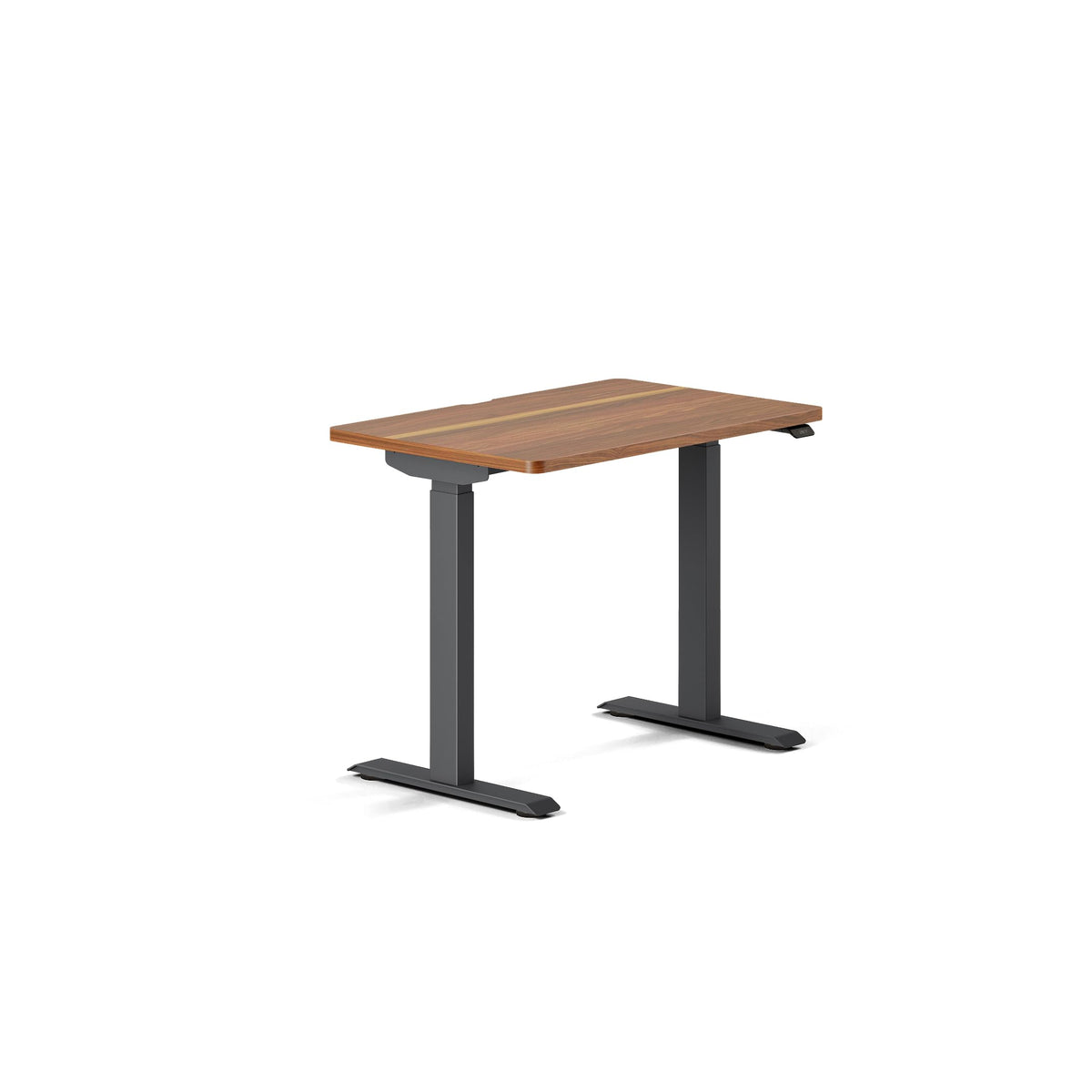 Compact Motorized Standing Desk