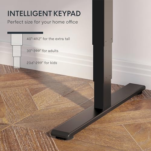 Three-Stage Dual-Motor Standing Desk
