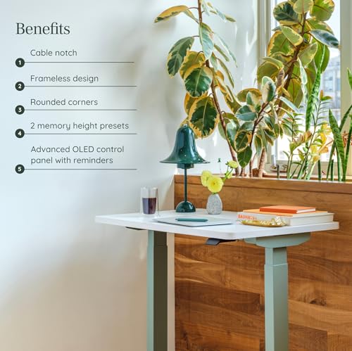 Compact Motorized Standing Desk