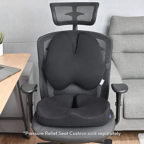 Extra-Dense Lumbar Support Cushion