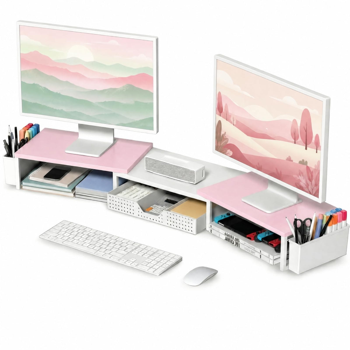 Dual Monitor Stand with Storage