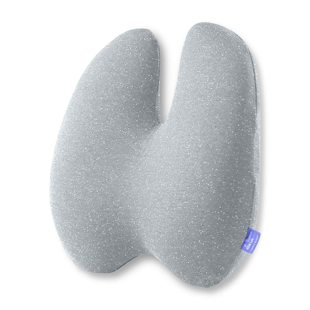 Extra-Dense Lumbar Support Cushion