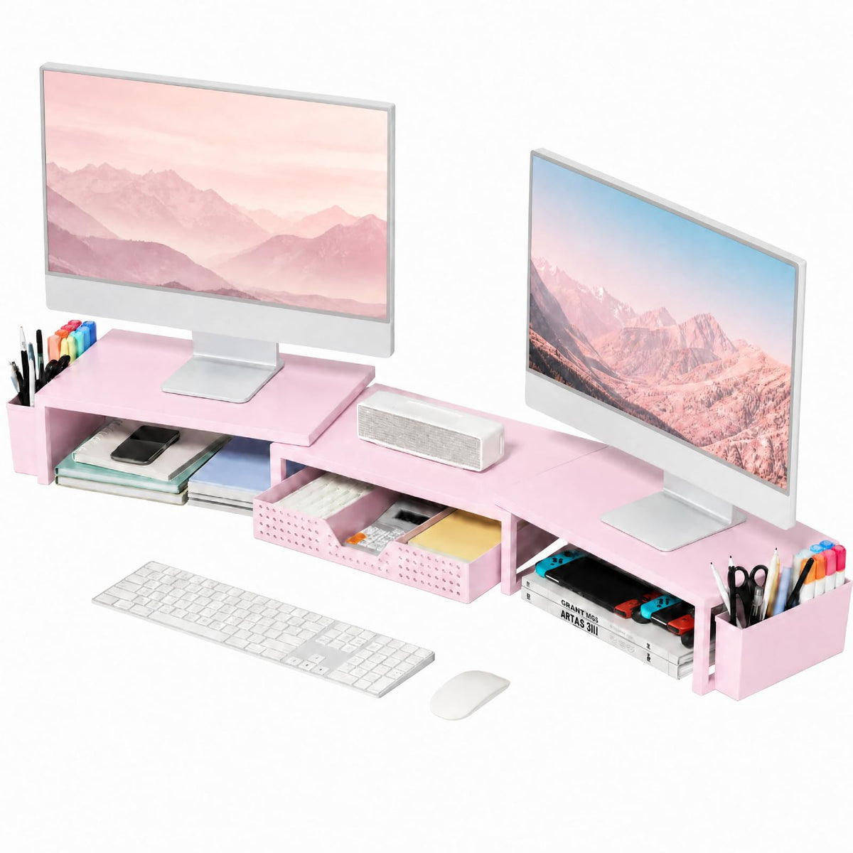 Dual Monitor Stand with Storage