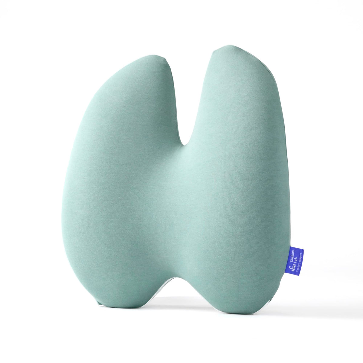 Extra-Dense Lumbar Support Cushion