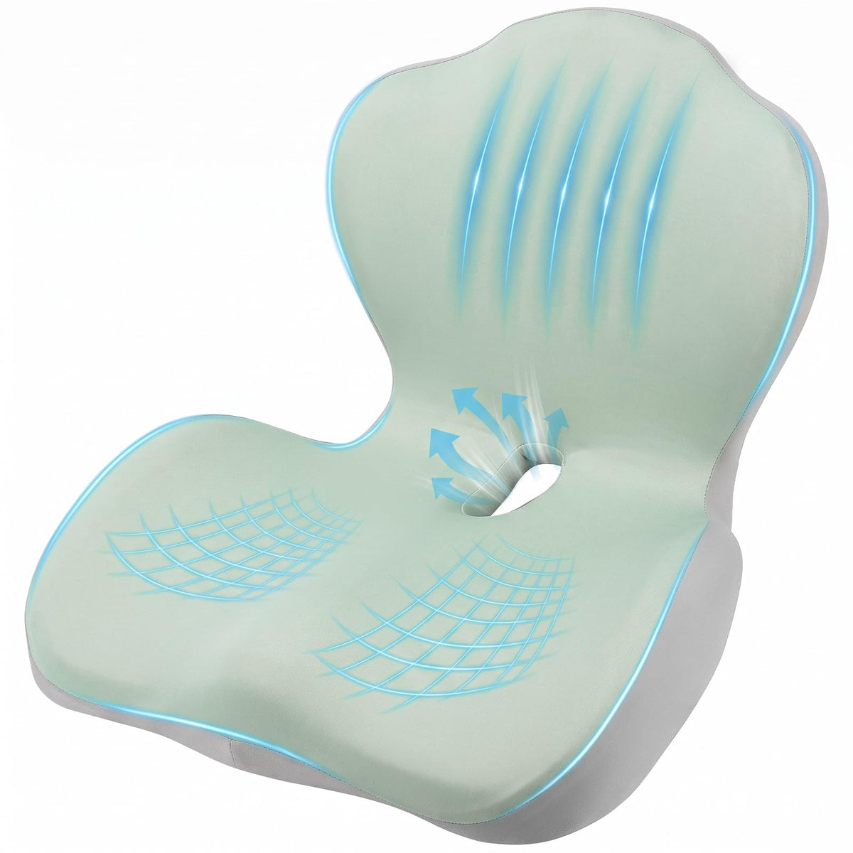 Seat Cushion with Lumbar Support