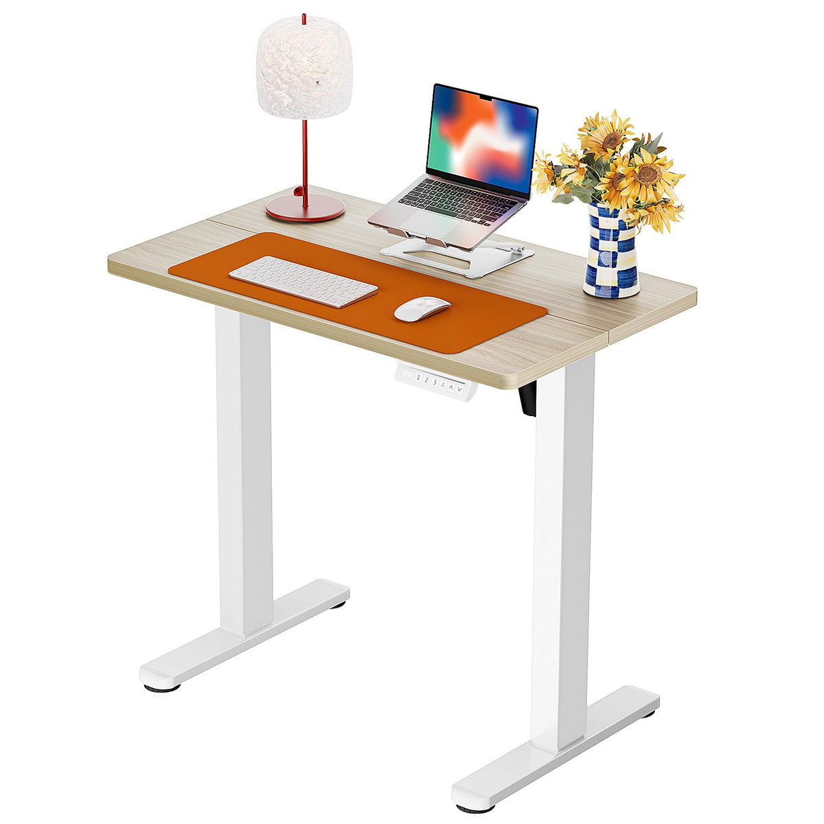 Electric Standing Desk with Memory Control