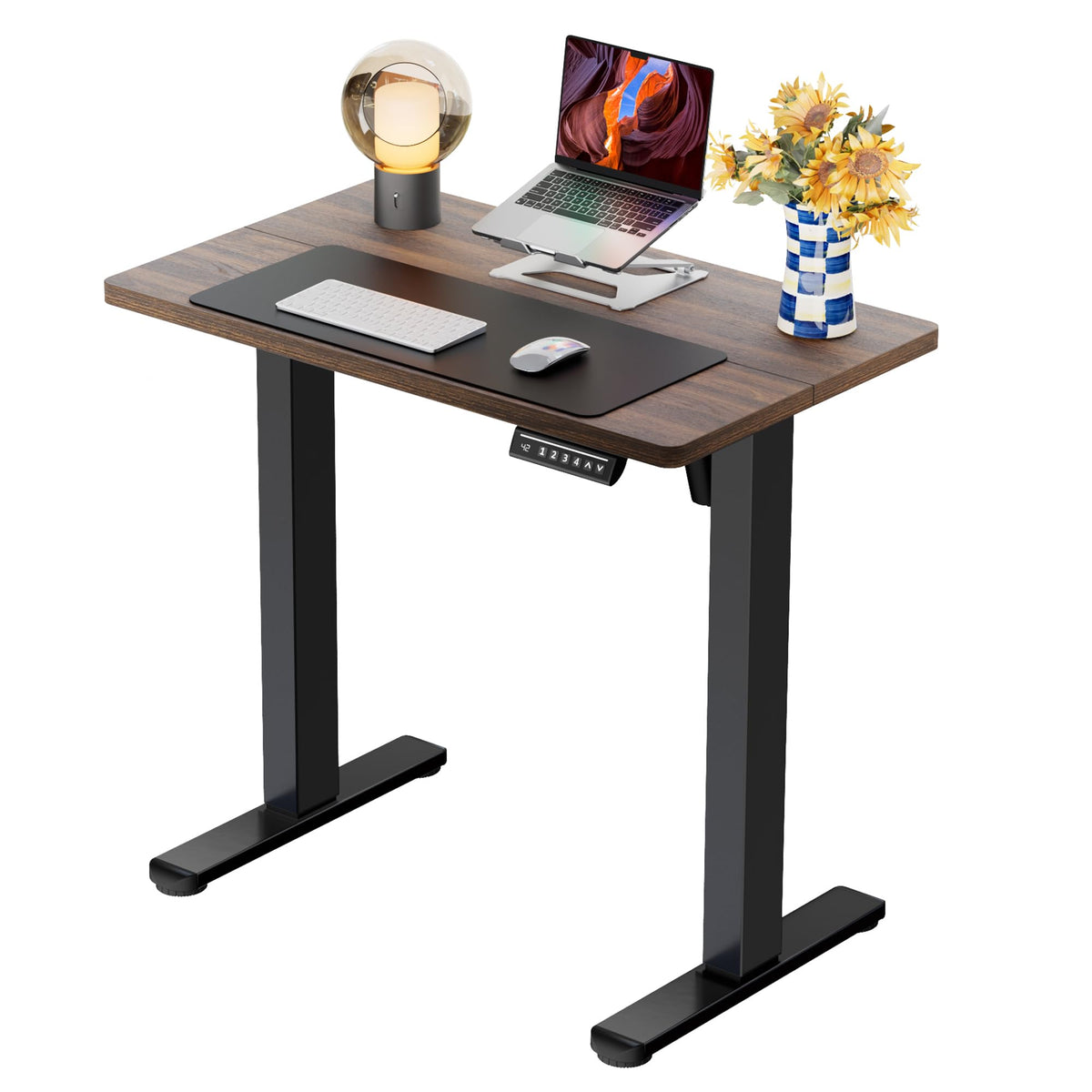 Electric Standing Desk with Memory Control
