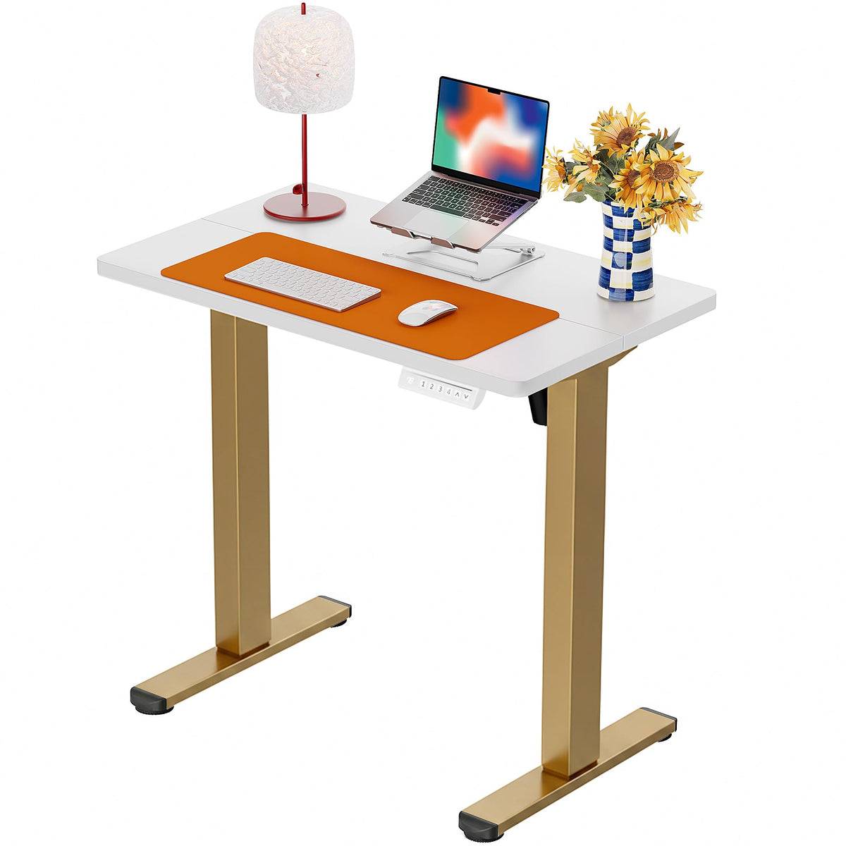 Electric Standing Desk with Memory Control