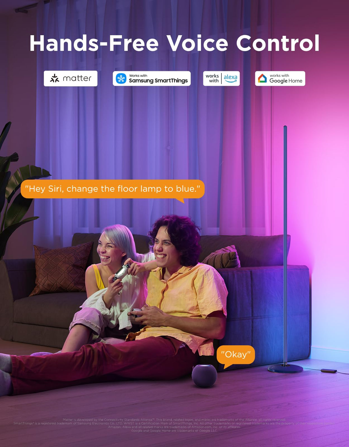 RGBIC Smart Corner Floor Lamp