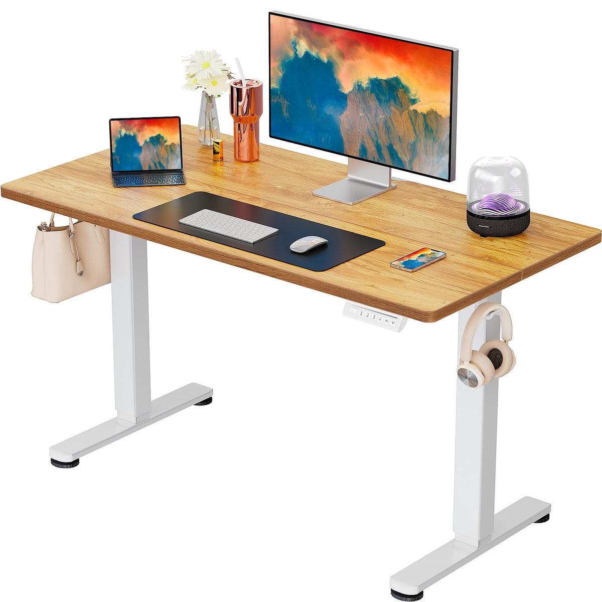 Electric Standing Desk with Memory Control
