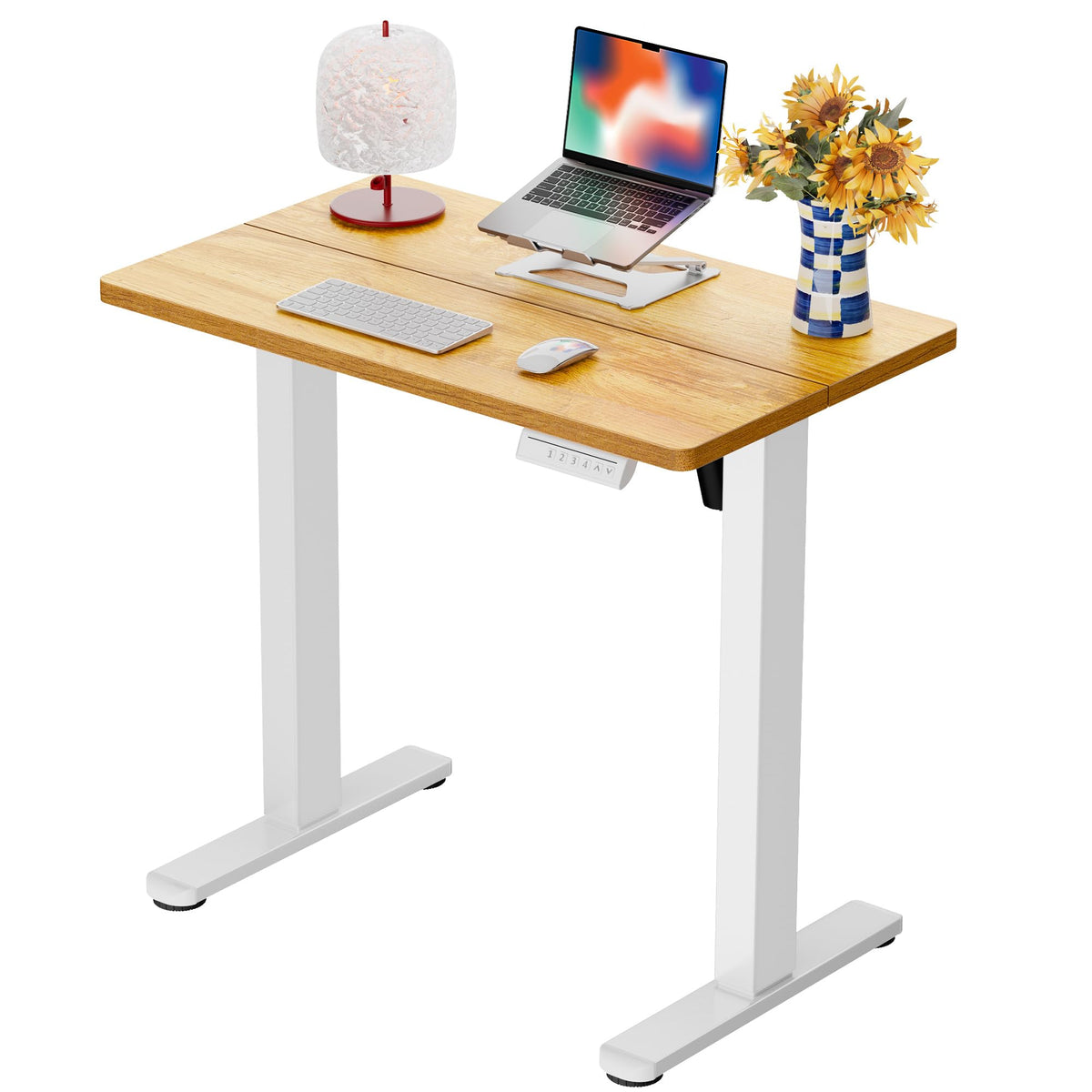 Electric Standing Desk with Memory Control