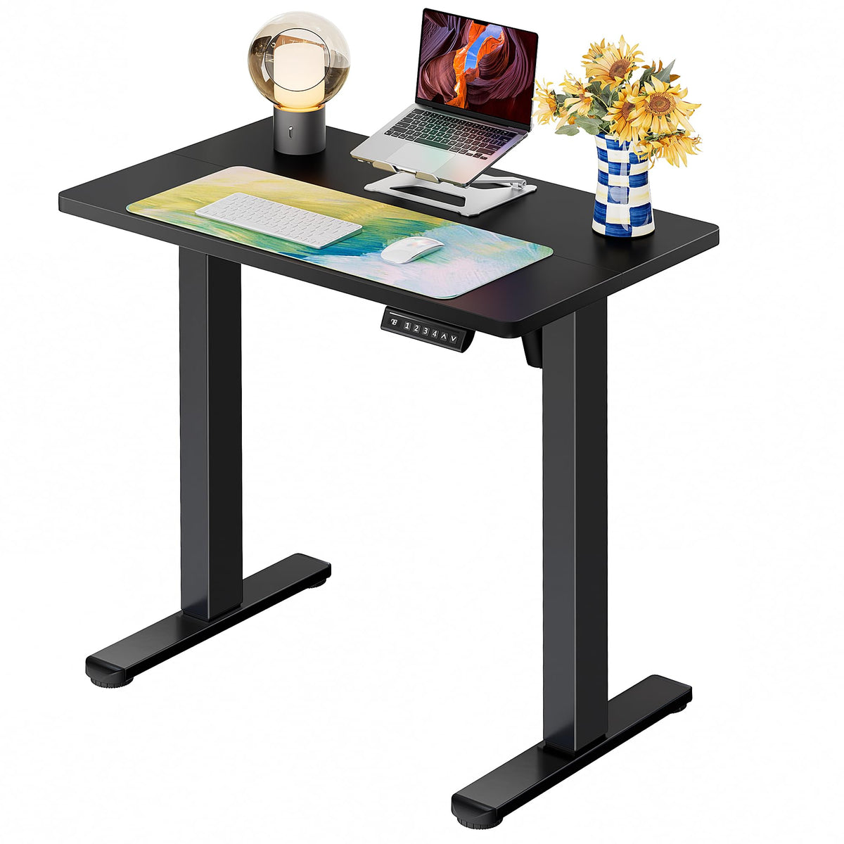 Electric Standing Desk with Memory Control