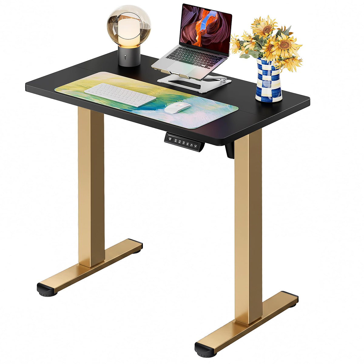 Electric Standing Desk with Memory Control