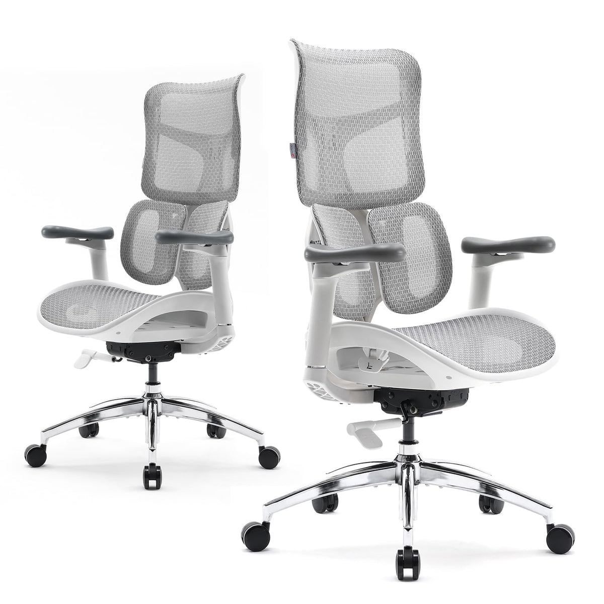 Office Chair with Dynamic Lumbar Support