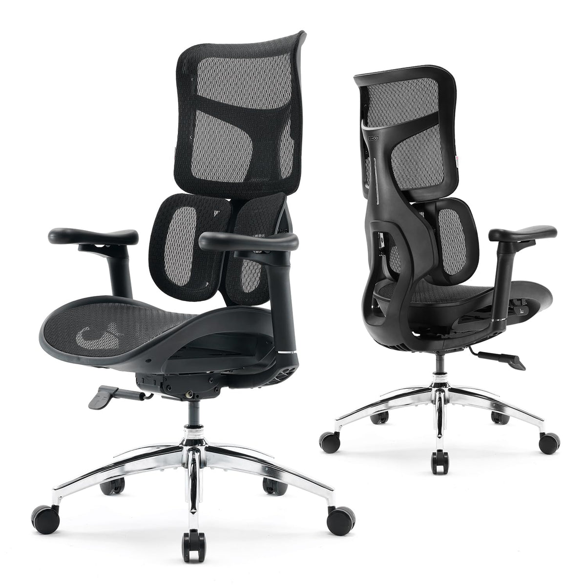 Office Chair with Dynamic Lumbar Support