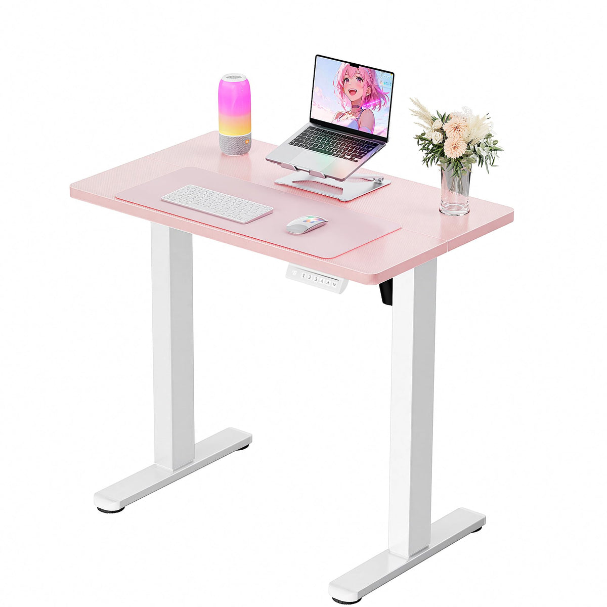 Electric Standing Desk with Memory Control
