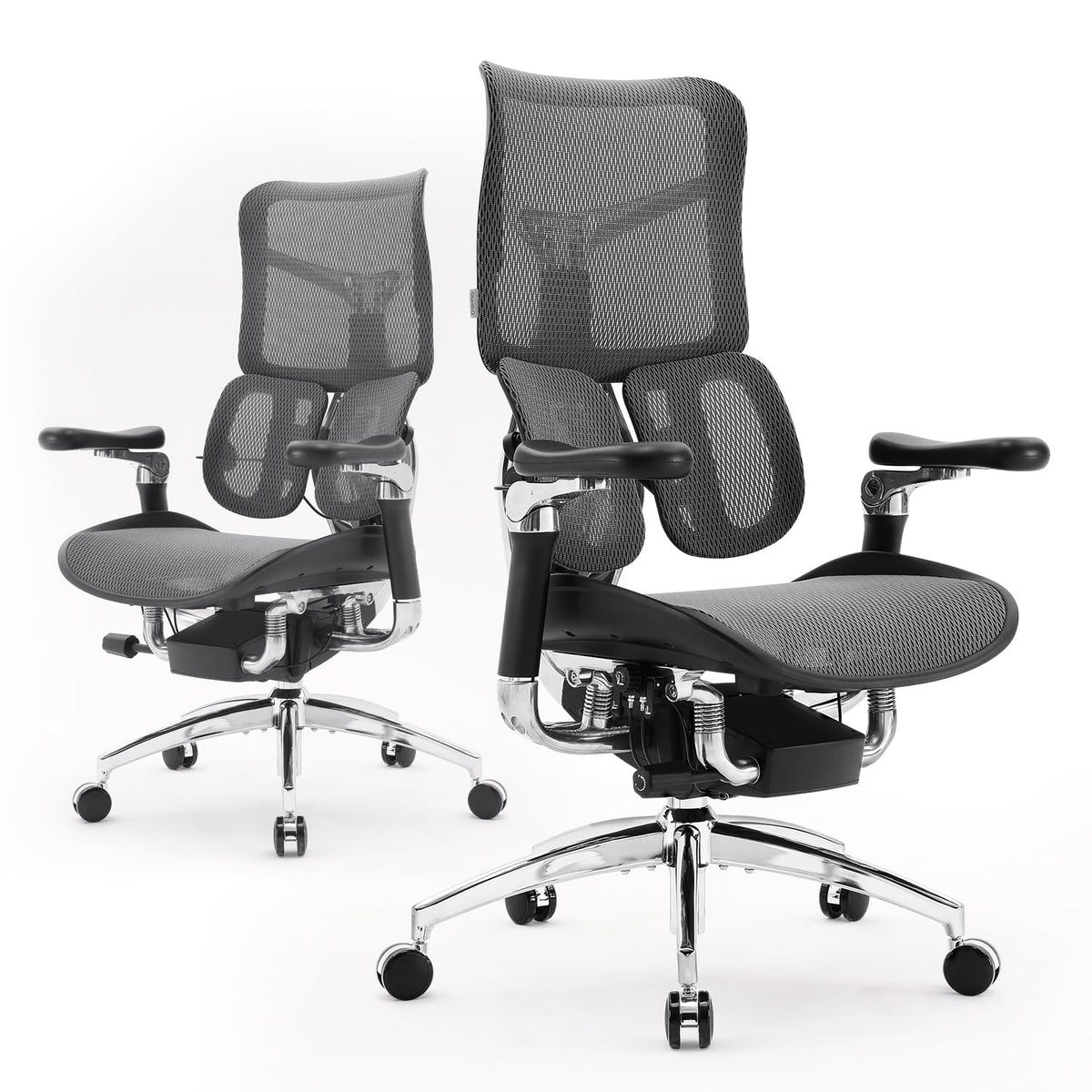 Office Chair with Dynamic Lumbar Support