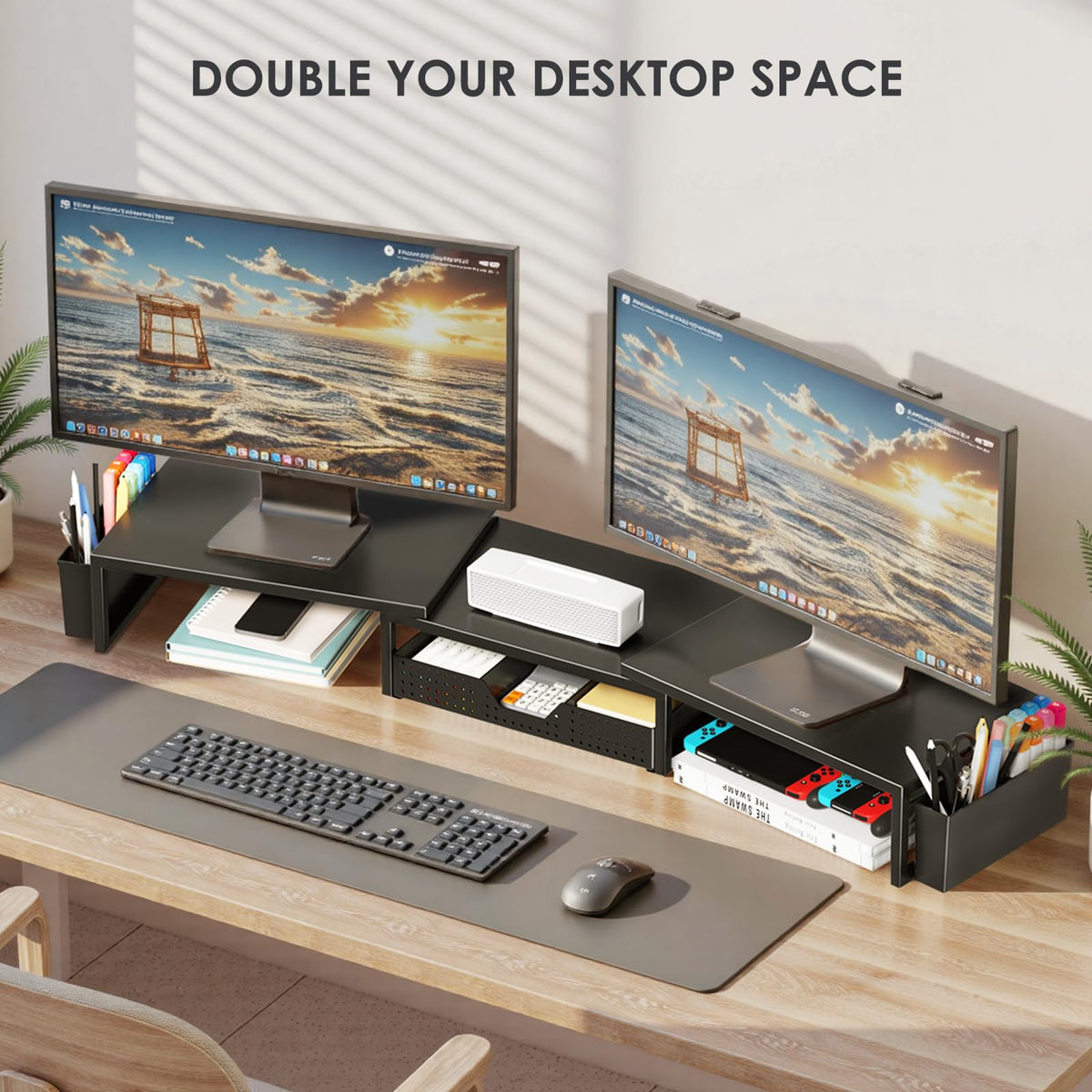 Dual Monitor Stand with Storage