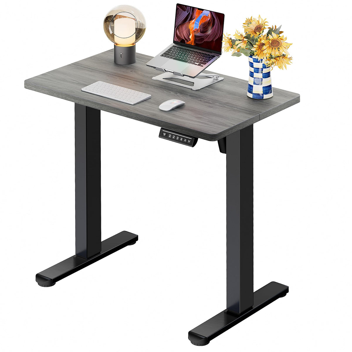 Electric Standing Desk with Memory Control
