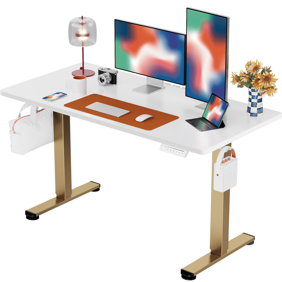 Electric Standing Desk with Memory Control