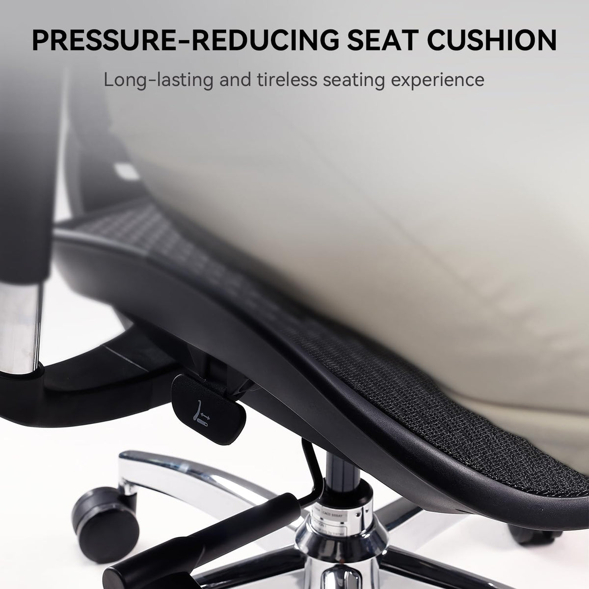 Office Chair with Dynamic Lumbar Support