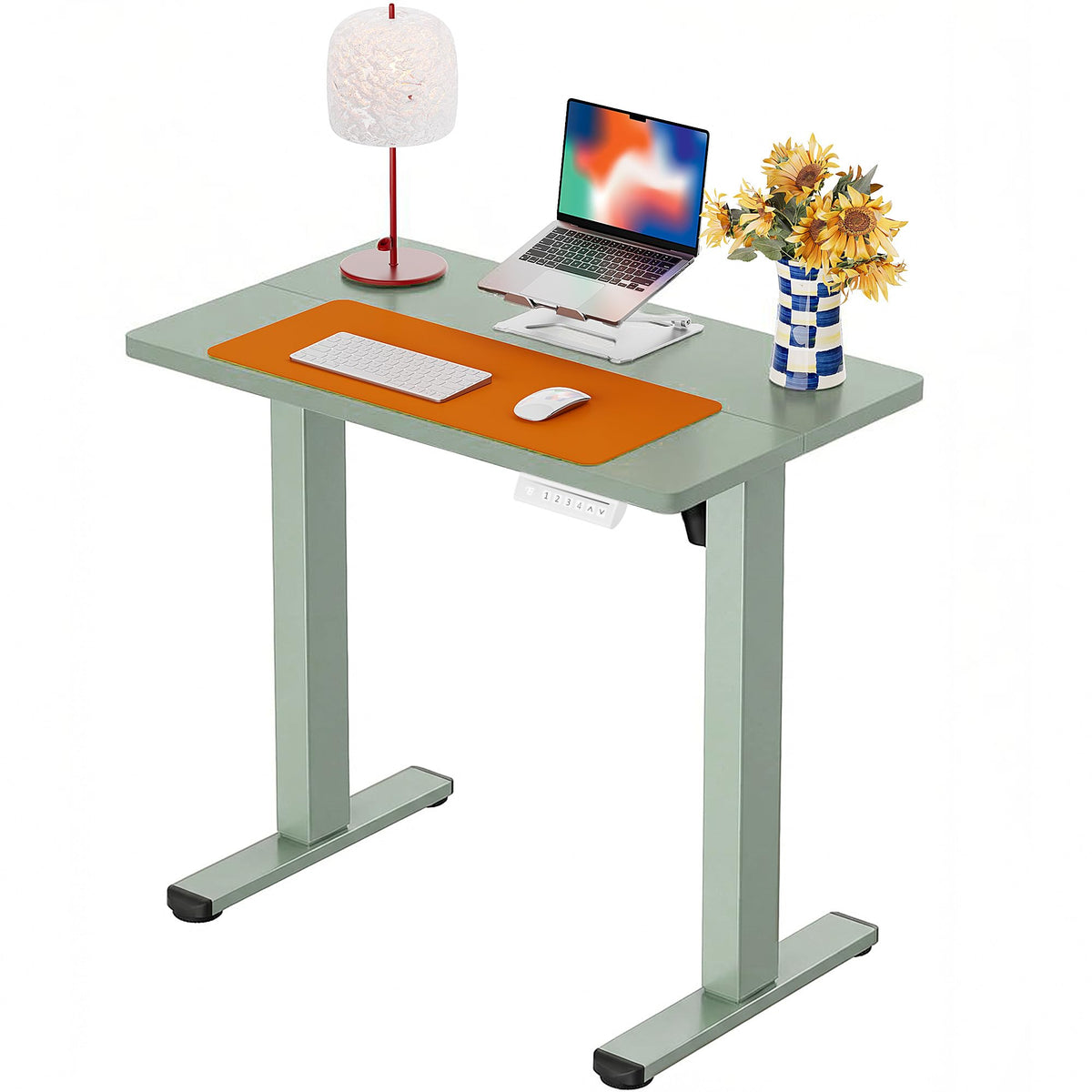 Electric Standing Desk with Memory Control