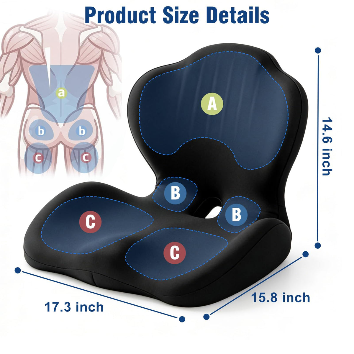 Seat Cushion with Lumbar Support