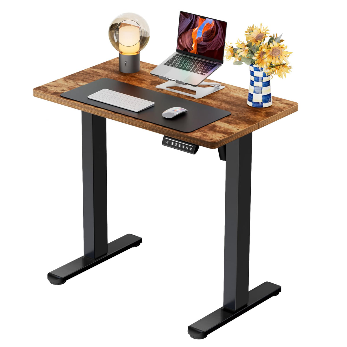 Electric Standing Desk with Memory Control