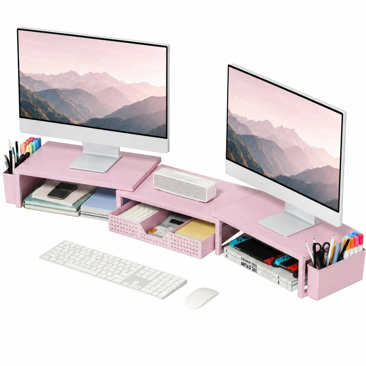Dual Monitor Stand with Storage