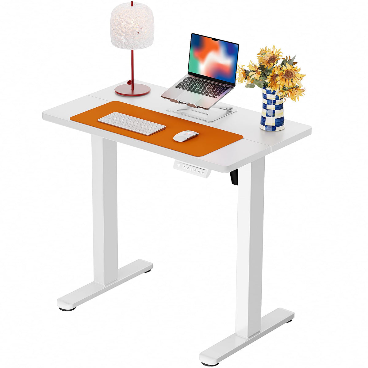 Electric Standing Desk with Memory Control