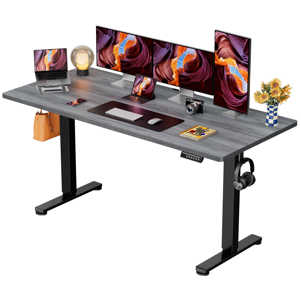 Electric Standing Desk with Memory Control