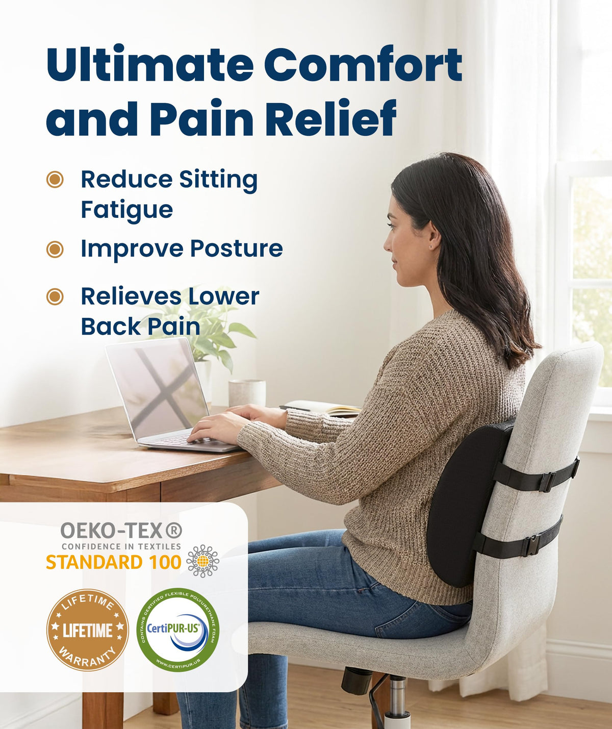 Contoured Lumbar Support Pillow
