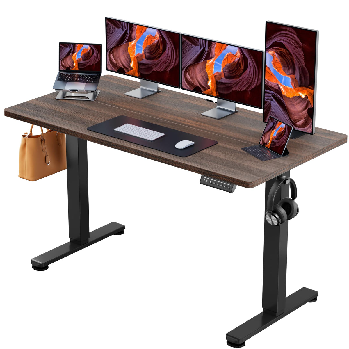 Electric Standing Desk with Memory Control